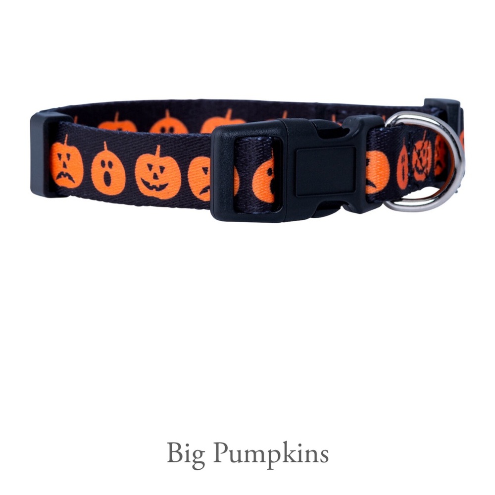 New! Native Pup Halloween Dog Collar (Large, Big Pumpkins)
